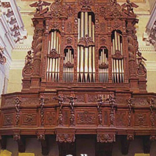 Foto dell'associazione